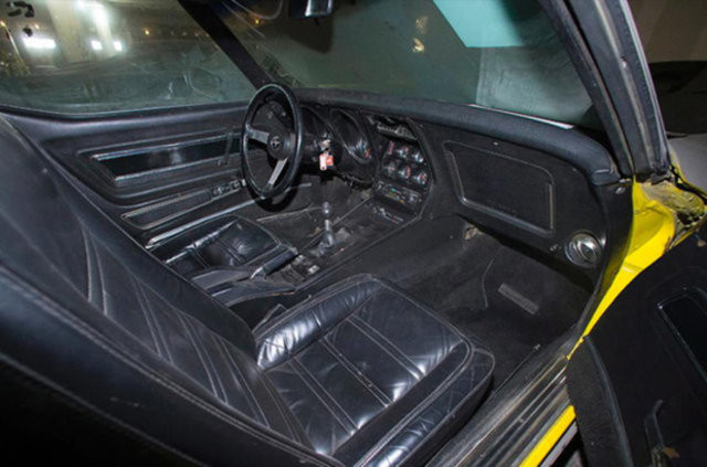 Hepsi servet değerinde, çürümeye bırakıldılar 25