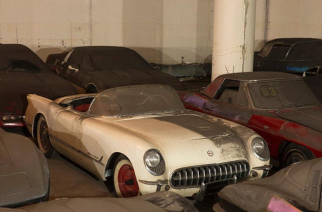 Hepsi servet değerinde, çürümeye bırakıldılar 26