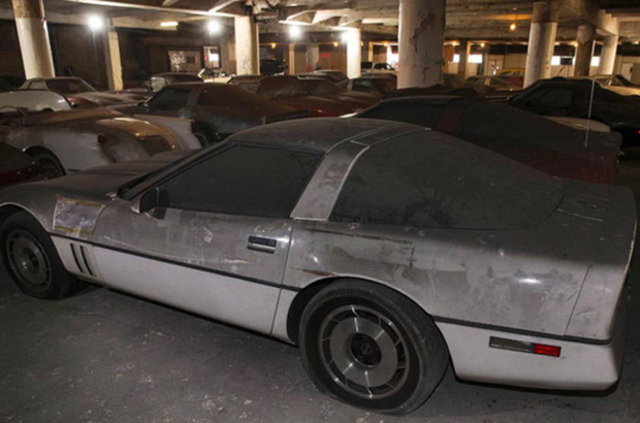 Hepsi servet değerinde, çürümeye bırakıldılar 27