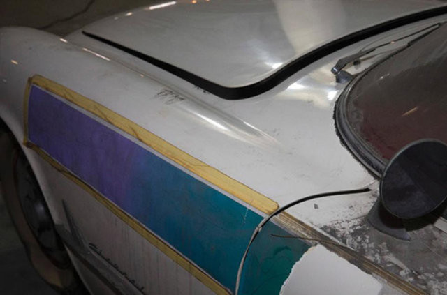 Hepsi servet değerinde, çürümeye bırakıldılar 28