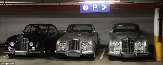 Hepsi servet değerinde, çürümeye bırakıldılar 31