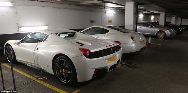 Hepsi servet değerinde, çürümeye bırakıldılar 32