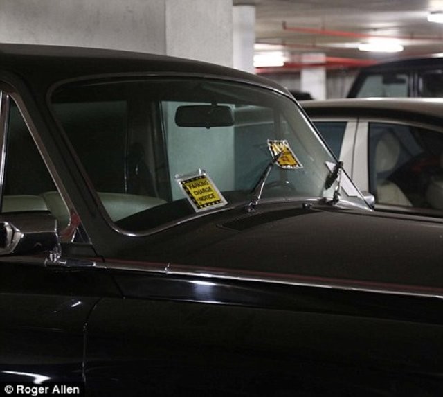 Hepsi servet değerinde, çürümeye bırakıldılar 34