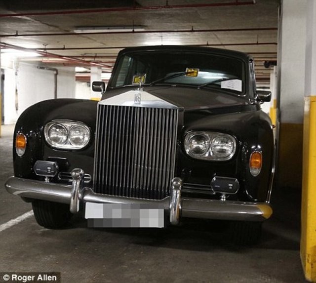 Hepsi servet değerinde, çürümeye bırakıldılar 35