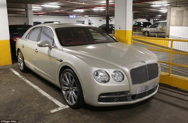 Hepsi servet değerinde, çürümeye bırakıldılar 37