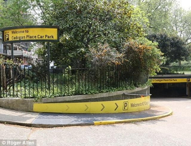 Hepsi servet değerinde, çürümeye bırakıldılar 38