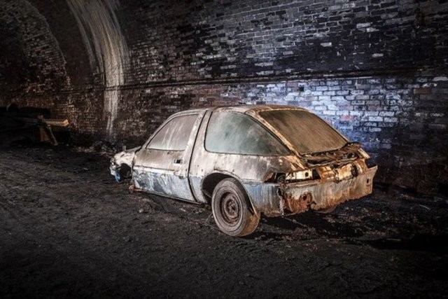 Hepsi servet değerinde, çürümeye bırakıldılar 48