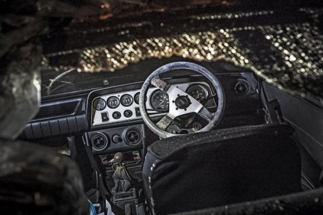 Hepsi servet değerinde, çürümeye bırakıldılar 51