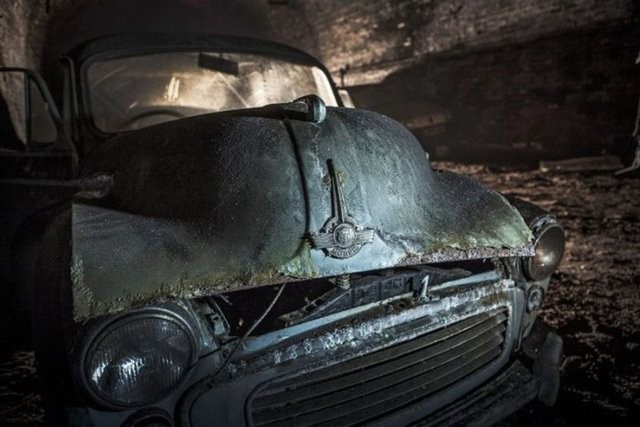 Hepsi servet değerinde, çürümeye bırakıldılar 55