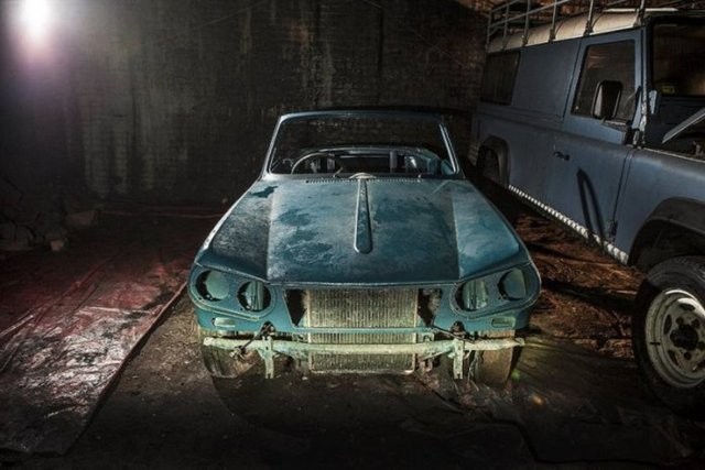 Hepsi servet değerinde, çürümeye bırakıldılar 58