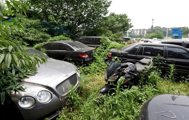 Hepsi servet değerinde, çürümeye bırakıldılar 6