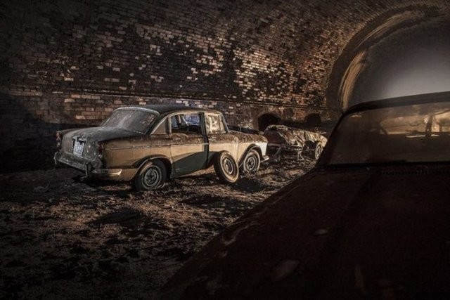 Hepsi servet değerinde, çürümeye bırakıldılar 59