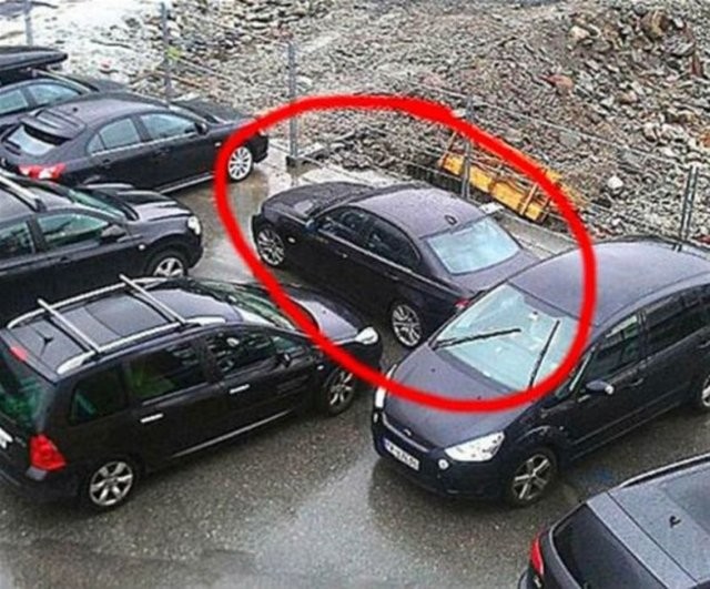 Hepsi servet değerinde, çürümeye bırakıldılar 61