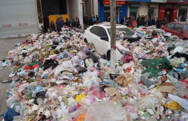 Hepsi servet değerinde, çürümeye bırakıldılar 63