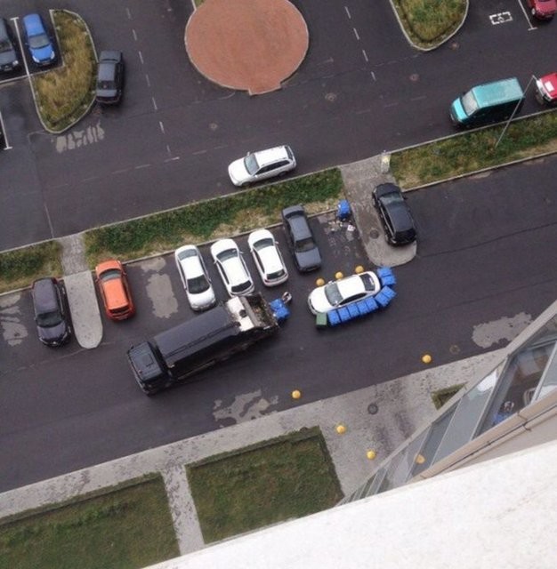 Hepsi servet değerinde, çürümeye bırakıldılar 67