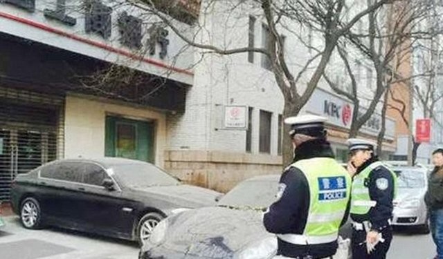 Hepsi servet değerinde, çürümeye bırakıldılar 81