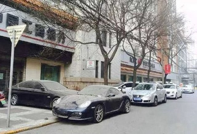 Hepsi servet değerinde, çürümeye bırakıldılar 83