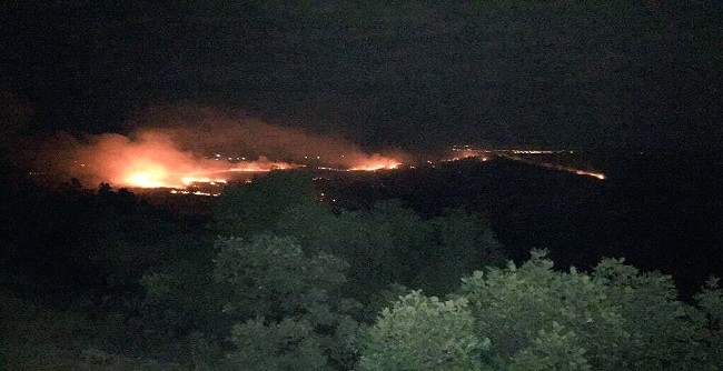 Lice kırsalında büyük operasyon 21