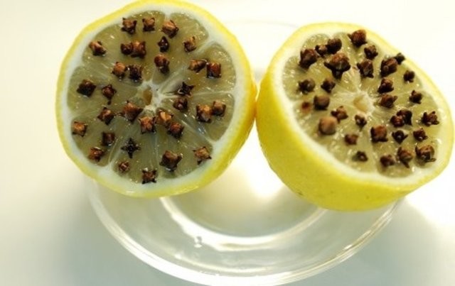 Sivrisinek en çok kimleri ısırır 31