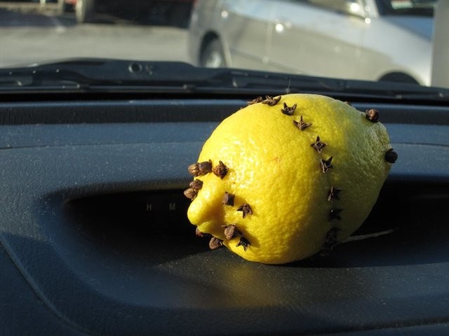 Sivrisinek en çok kimleri ısırır 32