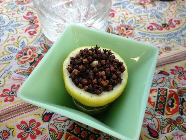 Sivrisinek en çok kimleri ısırır 34