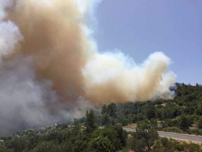 Tatil merkezi Adrasan'da orman yangını 1