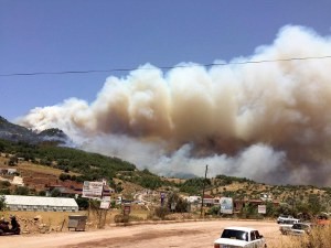 Tatil merkezi Adrasan'da orman yangını 11