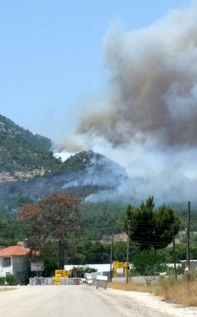 Tatil merkezi Adrasan'da orman yangını 12