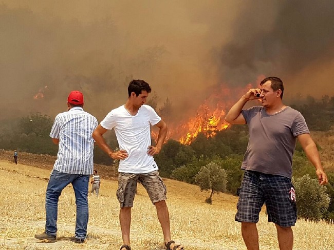 Tatil merkezi Adrasan'da orman yangını 14