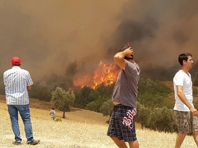 Tatil merkezi Adrasan'da orman yangını 15