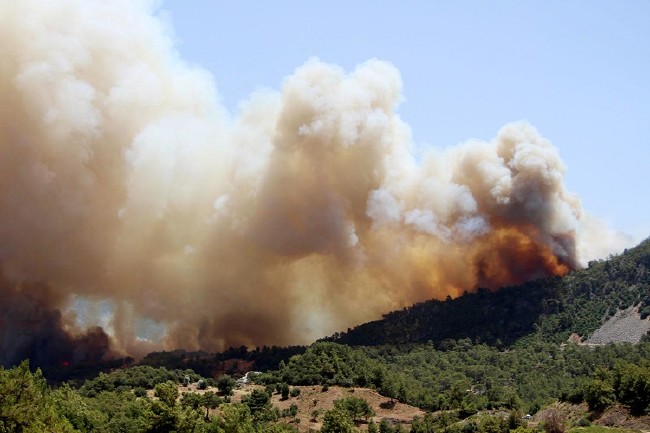 Tatil merkezi Adrasan'da orman yangını 17