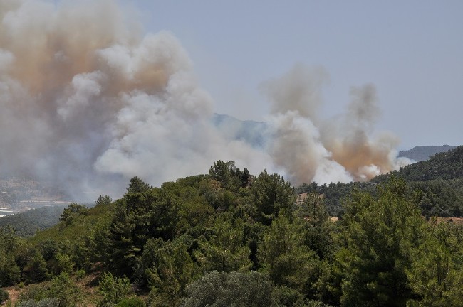 Tatil merkezi Adrasan'da orman yangını 4