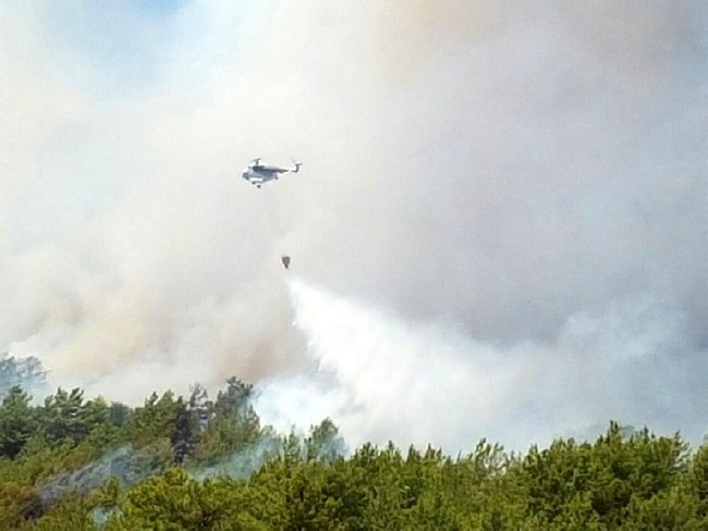 Tatil merkezi Adrasan'da orman yangını 7