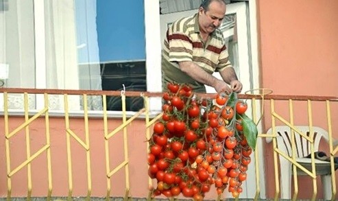 Milli gururumuz 'Balkona bayrak asan dayı' konuştu 1