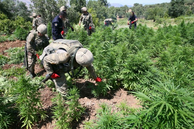 PKK'nın uyuşturucudan sağladığı gelir şoke etti! 18