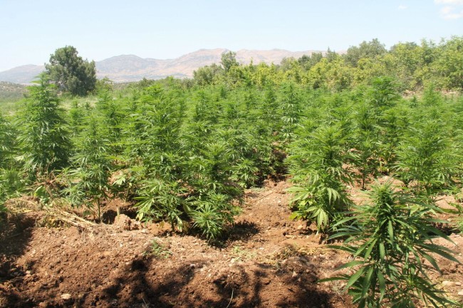 PKK'nın uyuşturucudan sağladığı gelir şoke etti! 20