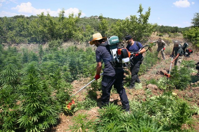 PKK'nın uyuşturucudan sağladığı gelir şoke etti! 24
