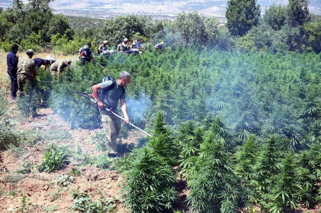 PKK'nın uyuşturucudan sağladığı gelir şoke etti! 4