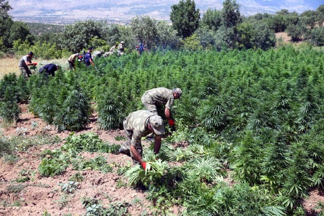 PKK'nın uyuşturucudan sağladığı gelir şoke etti! 5