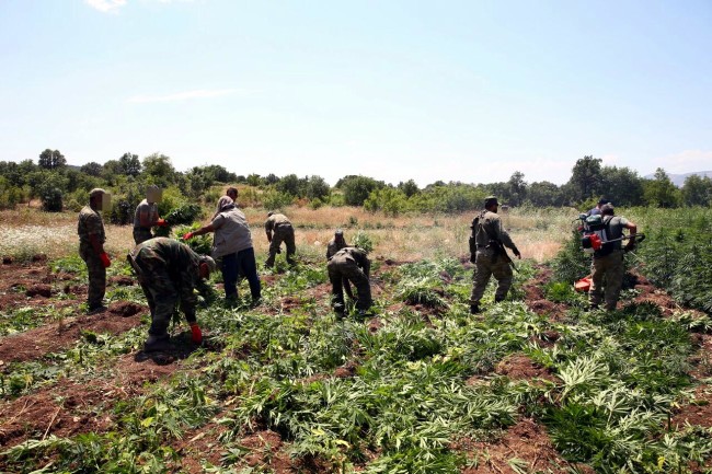PKK'nın uyuşturucudan sağladığı gelir şoke etti! 6