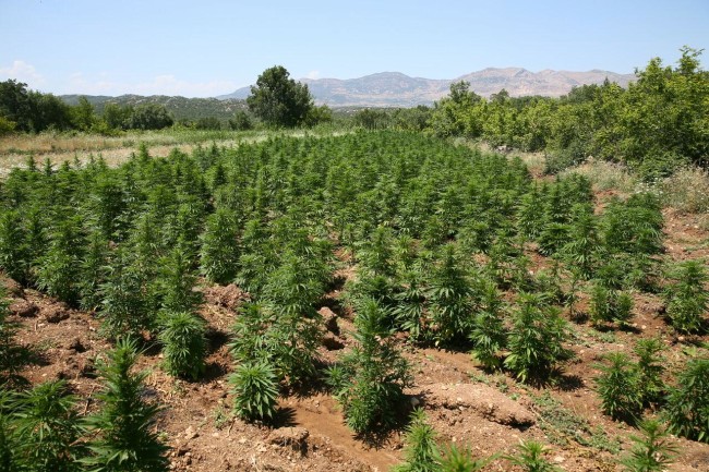 PKK'nın uyuşturucudan sağladığı gelir şoke etti! 7