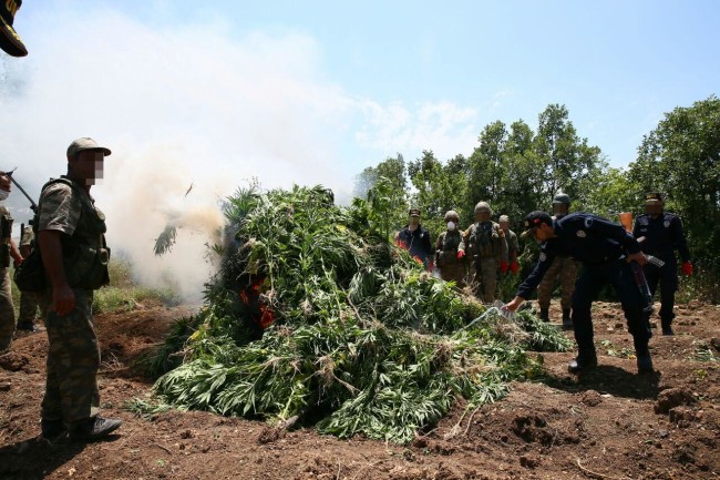 PKK'nın uyuşturucudan sağladığı gelir şoke etti! 8
