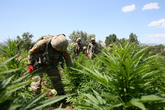 PKK'nın uyuşturucudan sağladığı gelir şoke etti! 9