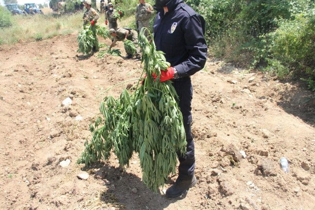 PKK'nın uyuşturucudan sağladığı gelir şoke etti! 10