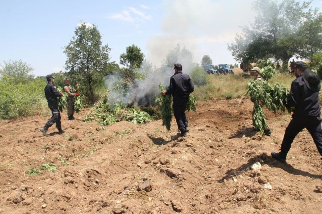 PKK'nın uyuşturucudan sağladığı gelir şoke etti! 11