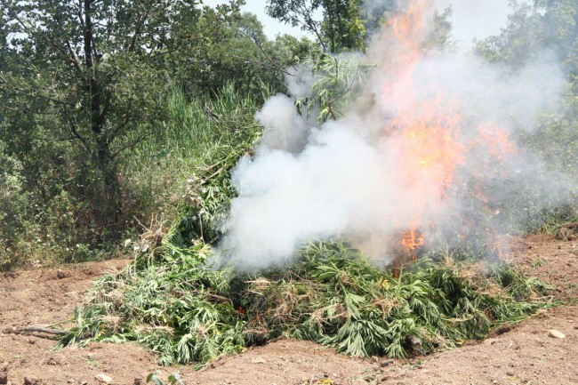 PKK'nın uyuşturucudan sağladığı gelir şoke etti! 12