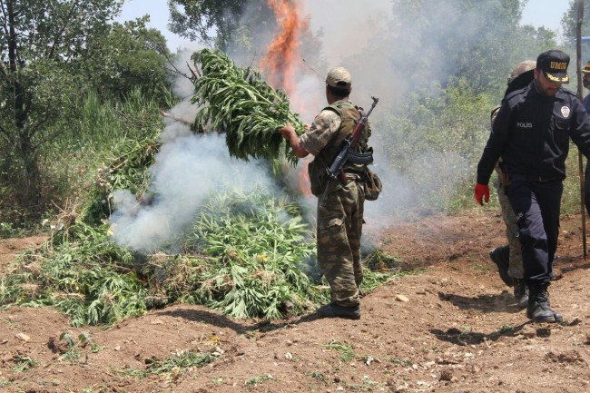 PKK'nın uyuşturucudan sağladığı gelir şoke etti! 13