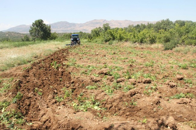PKK'nın uyuşturucudan sağladığı gelir şoke etti! 16