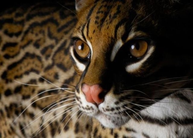 Dünya 150 yıl sonra bu halde olacak 20