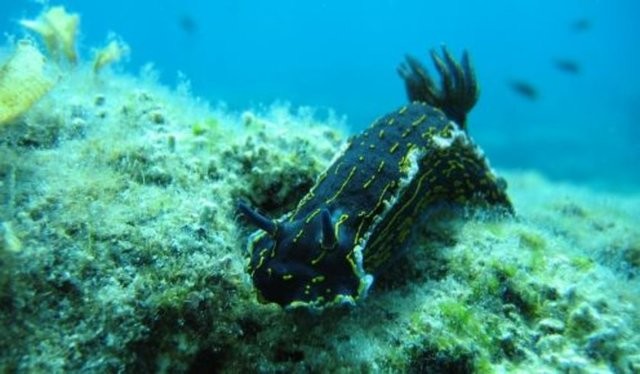 Dünya 150 yıl sonra bu halde olacak 22